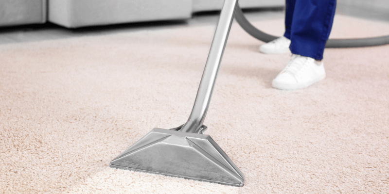 carpet cleaning business
