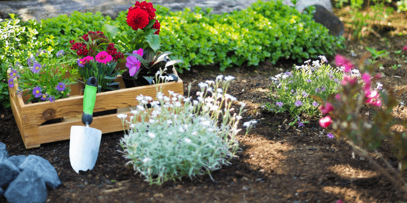 landscaping business