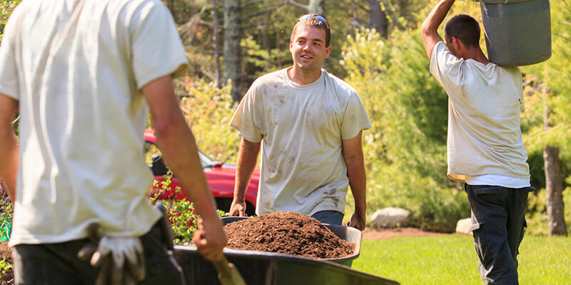 Landscaping employees moving wheel barrow full of mulch